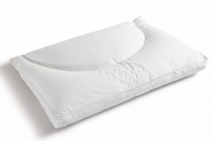 CERVICAL SUPPORT DOWN PILLOW